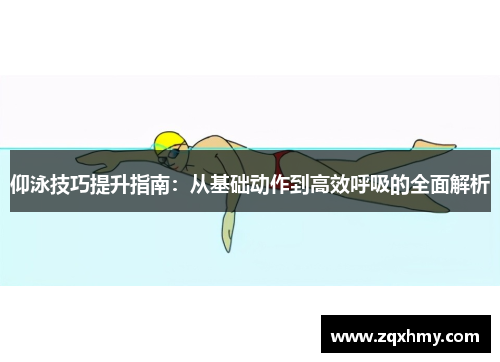 仰泳技巧提升指南：从基础动作到高效呼吸的全面解析