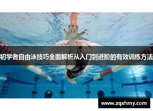 初学者自由泳技巧全面解析从入门到进阶的有效训练方法