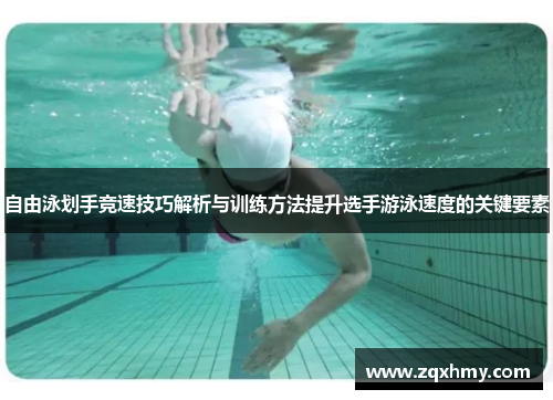 自由泳划手竞速技巧解析与训练方法提升选手游泳速度的关键要素