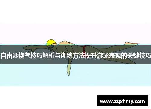 自由泳换气技巧解析与训练方法提升游泳表现的关键技巧