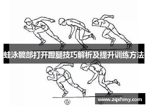 蛙泳髋部打开蹬腿技巧解析及提升训练方法